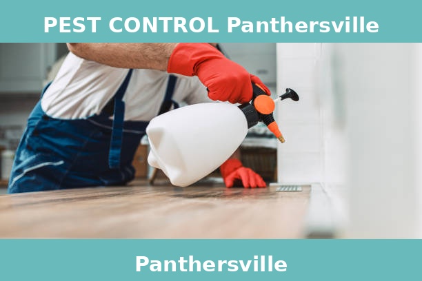 PEST CONTROL Panthersville